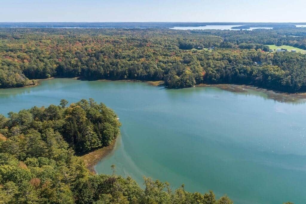 Vista aérea de un lago rodeado de un bosque denso.