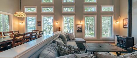 Smart TV, fireplace, books