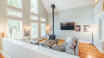 Smart TV, fireplace, books