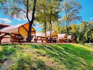 Ein Campingplatz mit mehreren Zelten und Picknicktischen, umgeben von Bäumen und Rasenflächen.