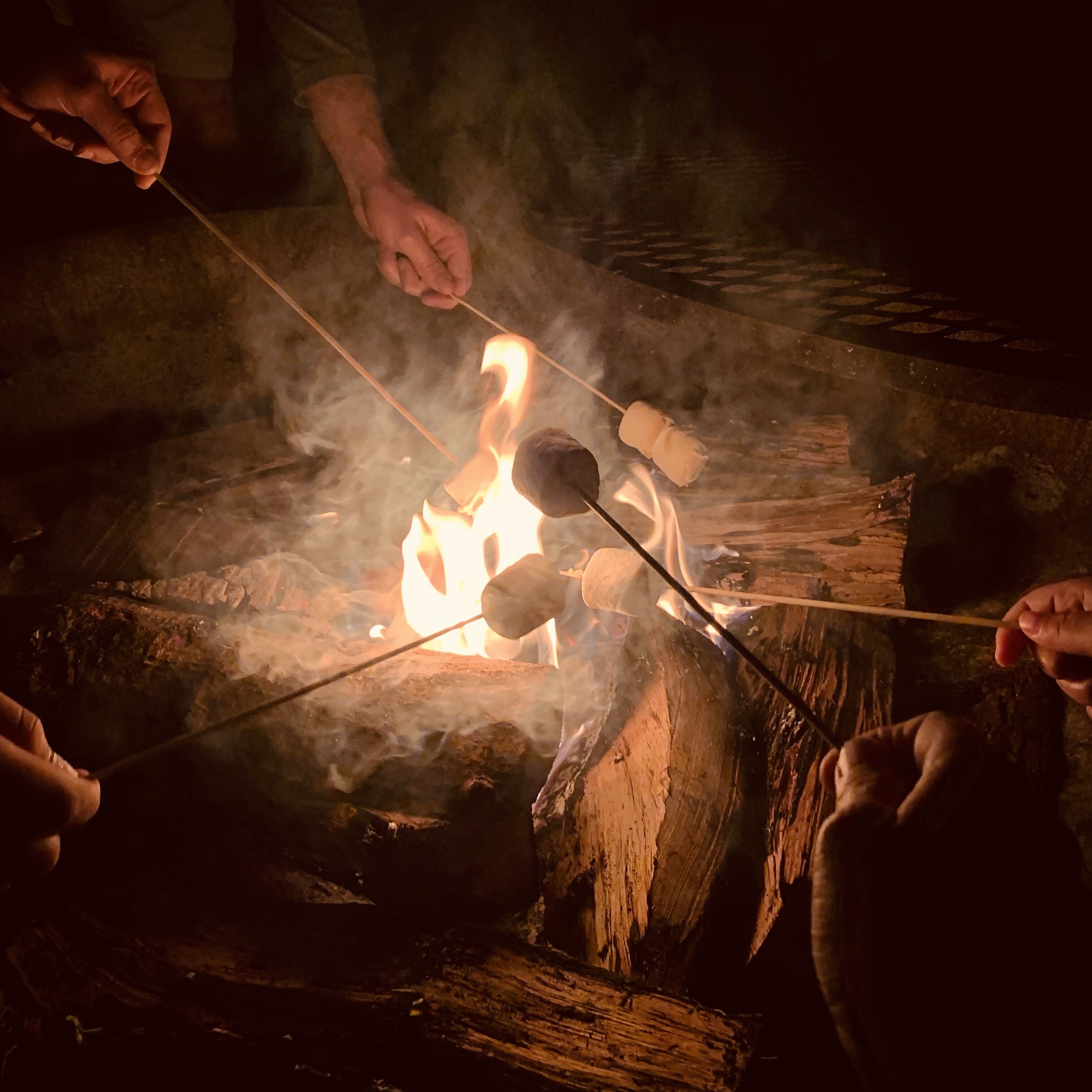 A campfire with marshmallows being roasted.