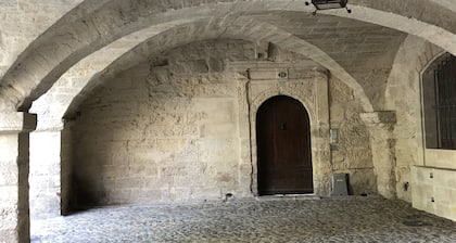 Magnificent apartment on Place aux Herbes- 16th century building