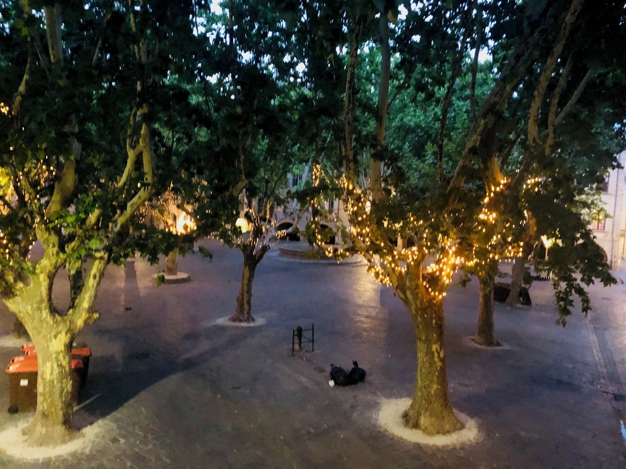 A park with trees adorned with lights, a bench, and a trash bin.