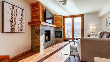 TV connectée, cheminée, lecteur de DVD, livres