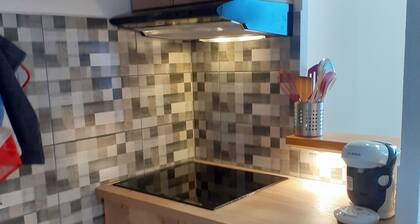 Superb apartment in ski-in ski-out residence