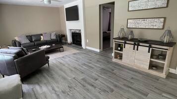 智能电视、壁炉、书、音乐库