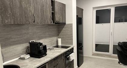 Amazing 2-Room Penthouse Cityview W13