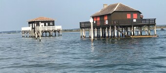 Bigazen - Family home in the heart of the Arcachon basin