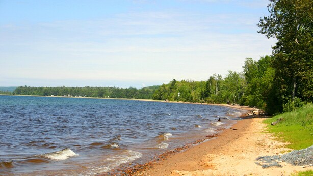 Une plage à l’eau claire, un rivage sablonneux et une zone boisée en arrière-plan.