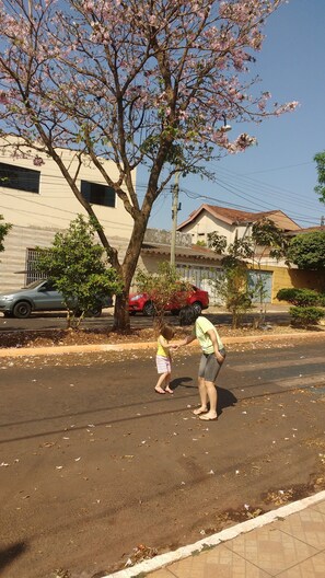 Property grounds - House 5 minutes from the airport and university. (SP)