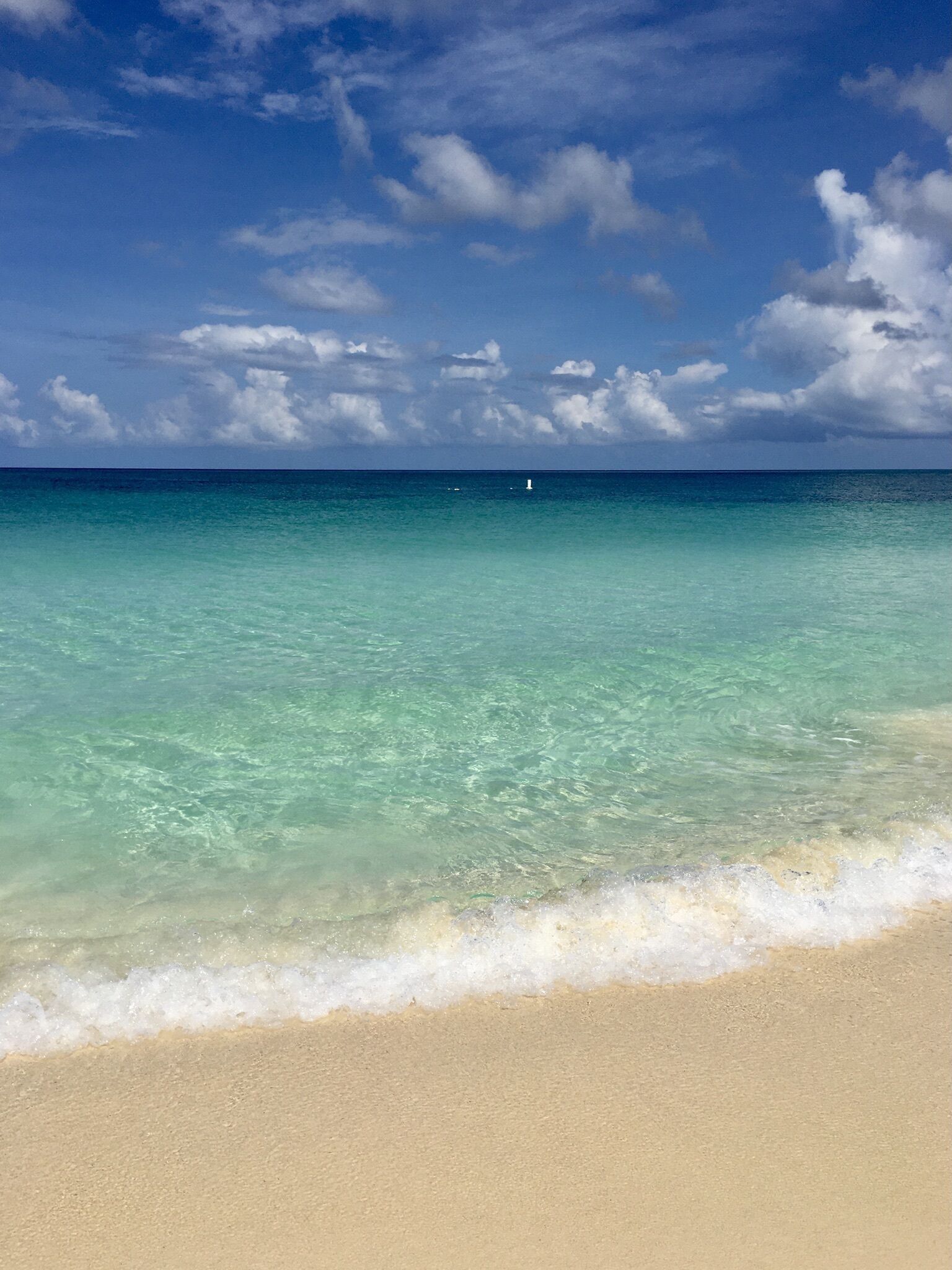 Una spiaggia nelle vicinanze