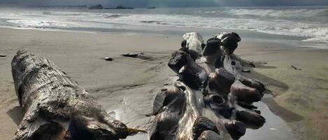 Liegestühle, Strandtücher