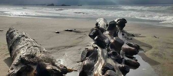 Aptos Beach Retreat Hot Tub & 5 Min Walk to Sand