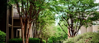 The Grove Getaway - Walking Distance to Ole Miss; Minutes from The Oxford Square