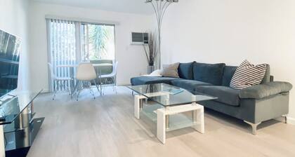 Fully renovated modern furnished condo in prime Hollywood - Walker's paradise