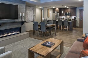 TV, fireplace, video games, video library