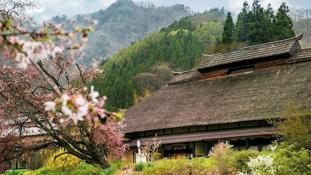 A traditional Japanese building with a thatched roof, surrounded by lush greenery and cherry blossoms. - Yakimochiya (Nagano)