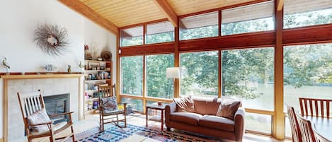 Televisión, chimenea, reproductor de DVD y libros