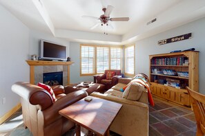 テレビ、暖炉、DVD プレーヤー、書庫