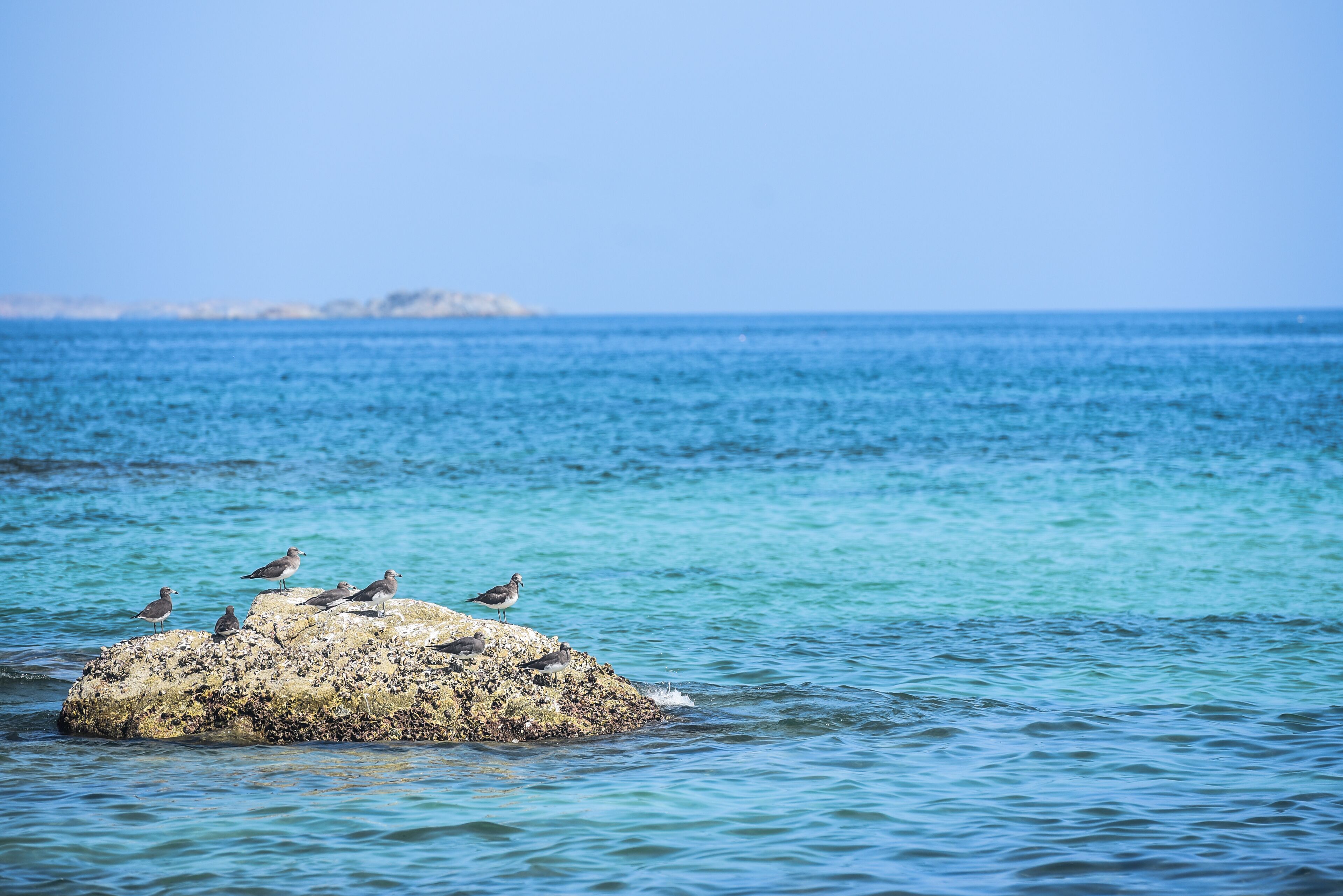 A rocky outcrop with birds perched on it, surrounded by calm sea water.