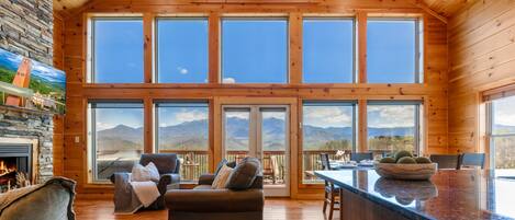 Tv, pejs, videospil, bøger