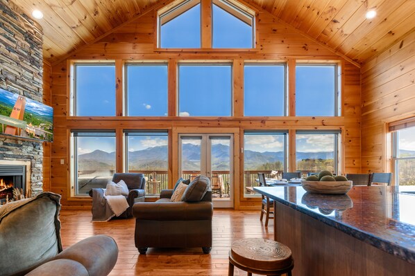 Televisión, chimenea, videojuegos y libros 