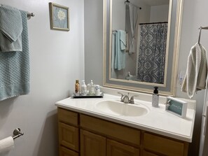 Combined shower/tub, hair dryer, towels