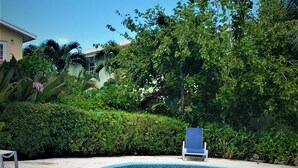 En pool med en böjd kant, omgiven av frodig grönska och en klarblå himmel.