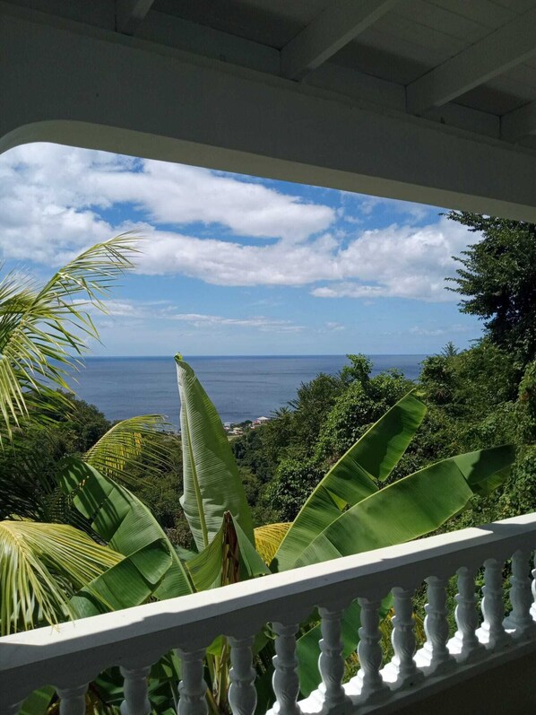 Terrain de l’hébergement 