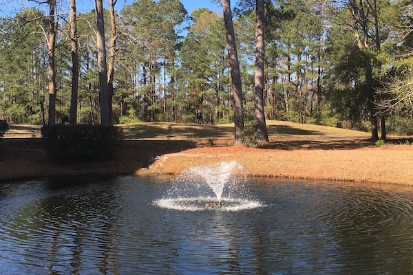 Àrea exterior de l'allotjament