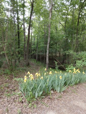 Overnatningsstedets område