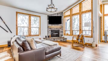 TV, fireplace, DVD player, books