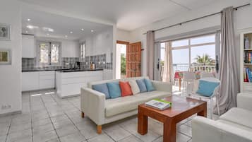 TV, fireplace, DVD player, ping pong