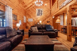 TV, fireplace, books