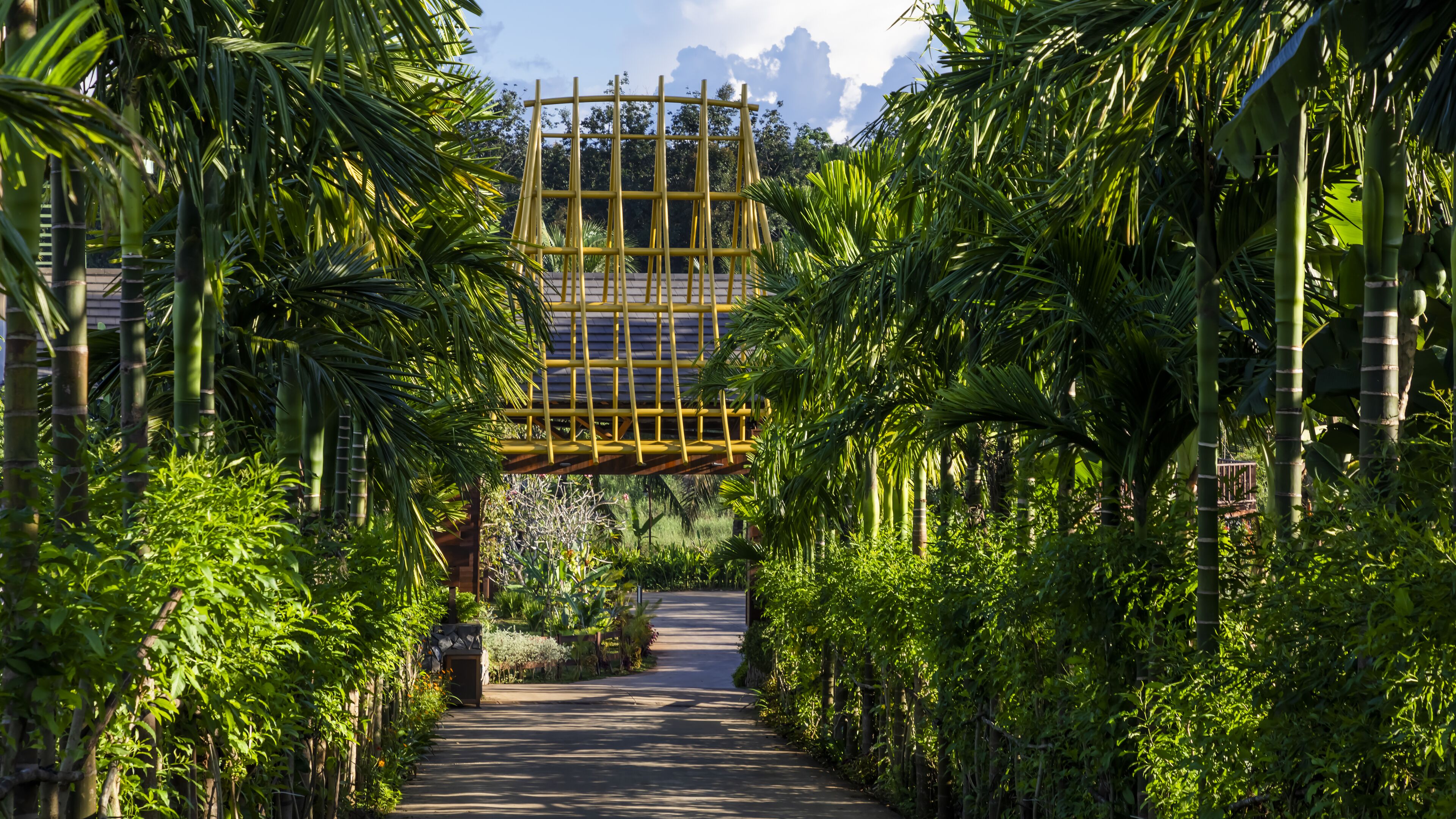 A pathway flanked by lush greenery and a bamboo structure.
