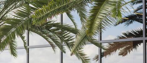 A poolside area with lounge chairs and a table, palm trees, and a view of the landscape.