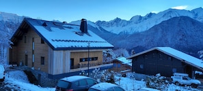 Exteriör