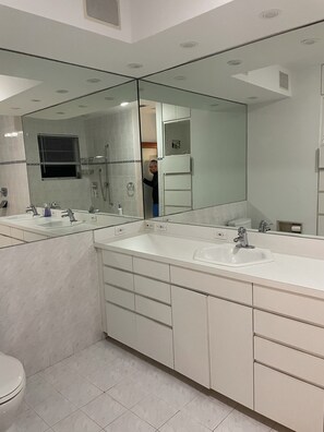 Combined shower/tub, jetted tub, hair dryer, towels