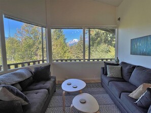 Televisor i llar de foc 