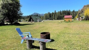 Ruohikkoalue, jossa on sininen tuoli ja lumilauta nojaa puunrunkoa vasten.
