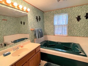 Shower, hair dryer - Mossy Moose Cabin | Near White Pass & Mt Rainier (Packwood)