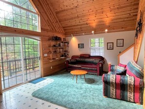 TV - Mossy Moose Cabin | Near White Pass & Mt Rainier (Packwood)