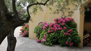 A paved pathway leading to a building with a beige wall and pink flowers.