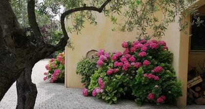 Very pretty villa of 140 M2 on raised and closed ground with swimming pool, calm