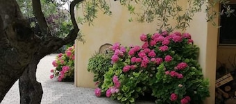 Very pretty villa of 140 M2 on raised and closed ground with swimming pool, calm