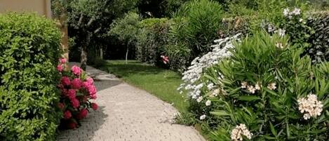 Ein gepflasterter Gartenweg führt zu einem Gebäude mit einem Ziegeldach.