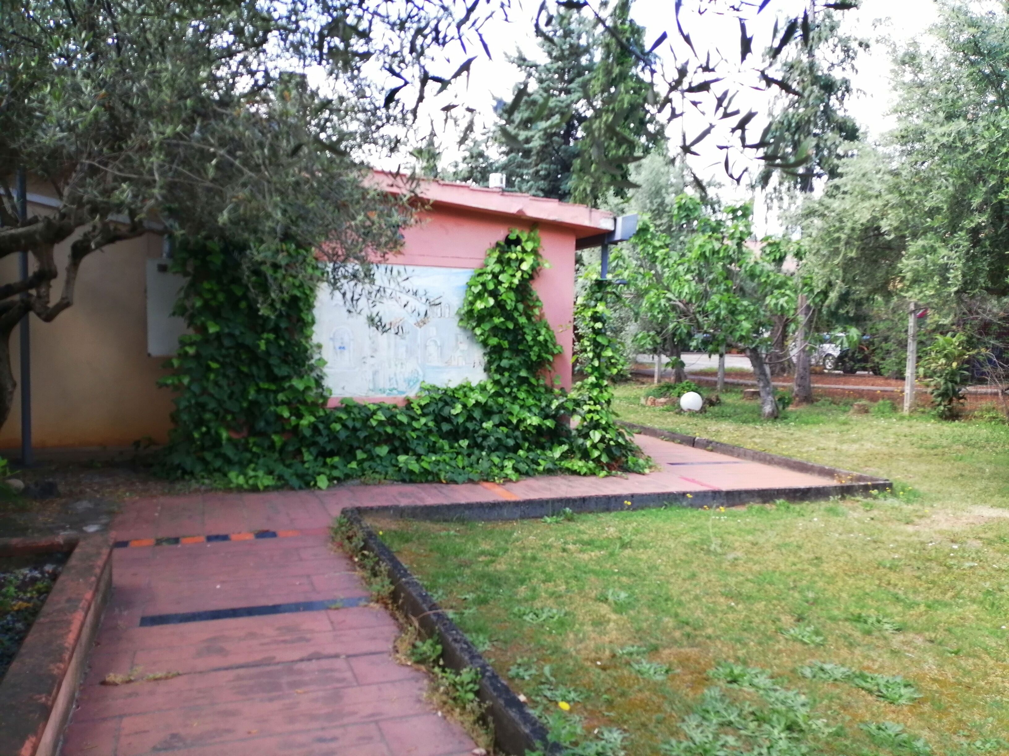 A building partially covered with ivy, a paved pathway, and a grassy area with trees.