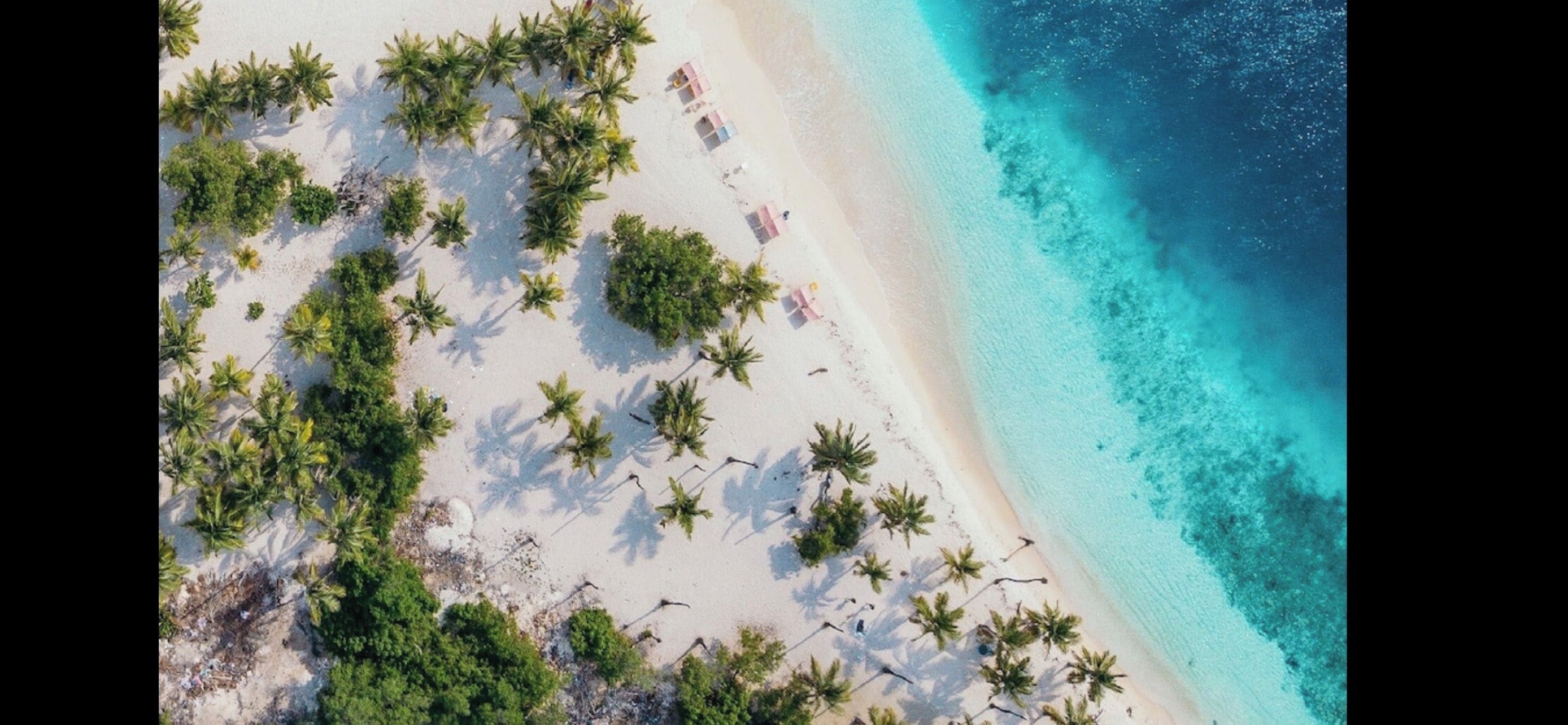 An aerial view of a beach with palm trees and a clear blue ocean.