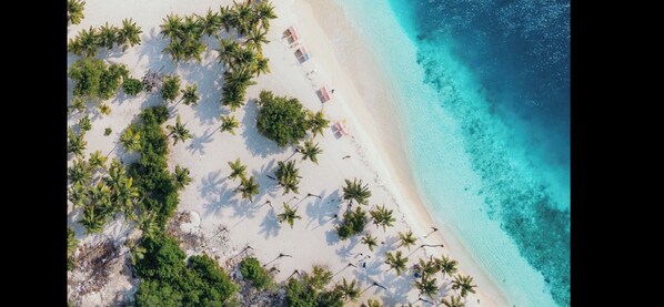 An aerial view of a beach with palm trees and a clear blue ocean.