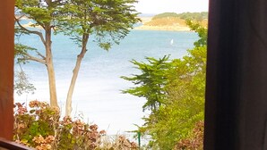 A view of a coastal landscape with trees and a sandy beach. - Brittany, Cote de Granit Rose, Chalet with sea view, feet in the water (Trébeurden)